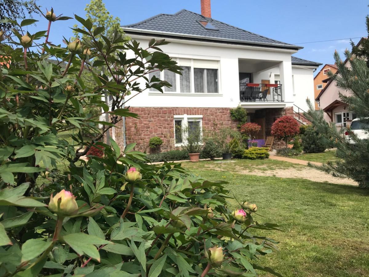 Levendula Apartmanhaz Badacsonytomaj Bagian luar foto